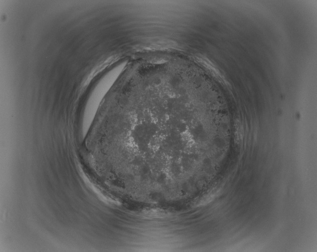 X0000082740634200702091904