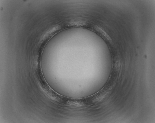 X0000082740635200702091904