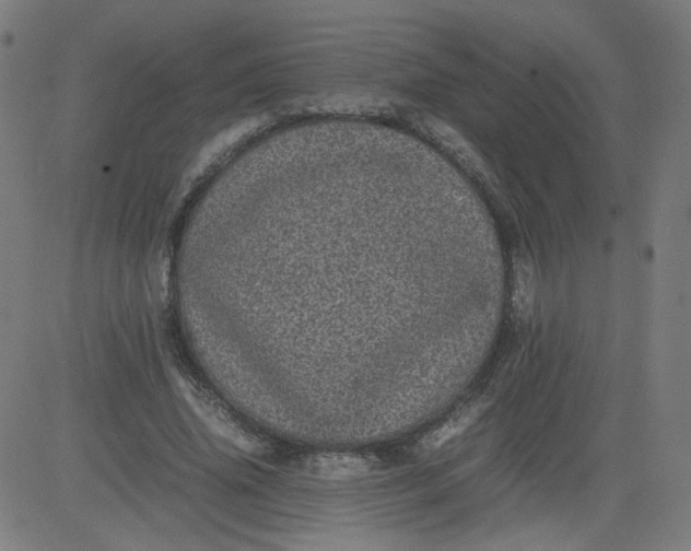 X0000082740636200702091904