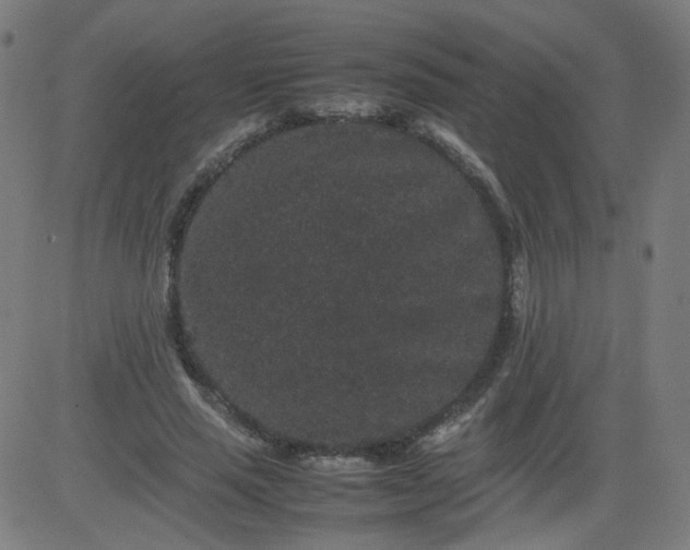 X0000082740637200702091904