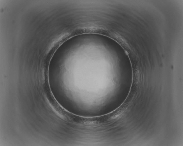 X0000082740638200702091904