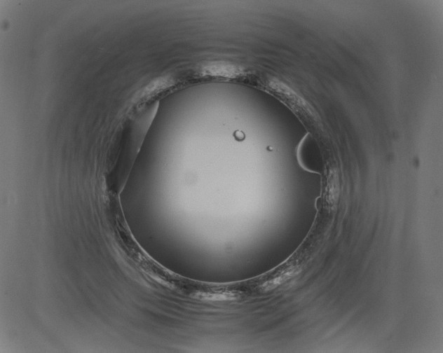 X0000082740639200702091904