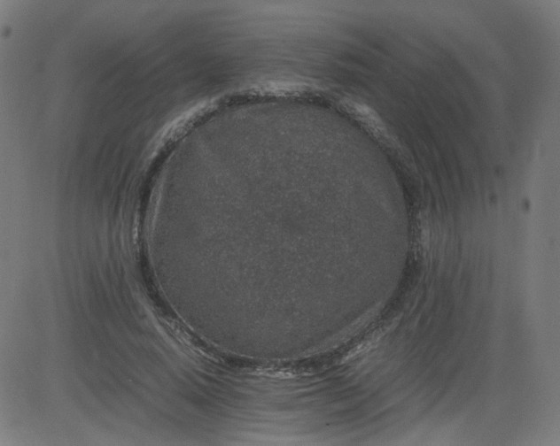 X0000082740640200702091904