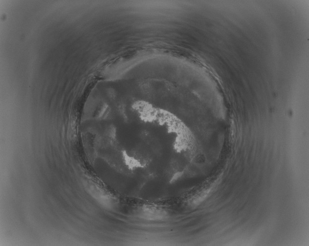 X0000082740641200702091904