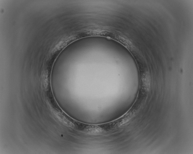 X0000082740642200702091904