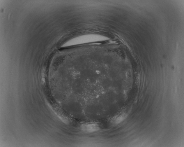 X0000082740643200702091904