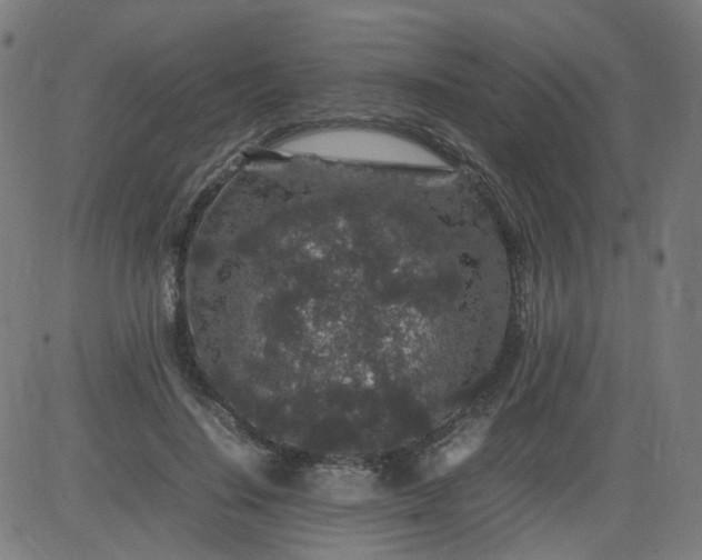 X0000082740644200702091904