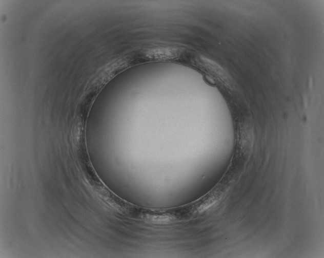 X0000082740645200702091904