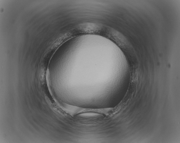 X0000082740646200702091904