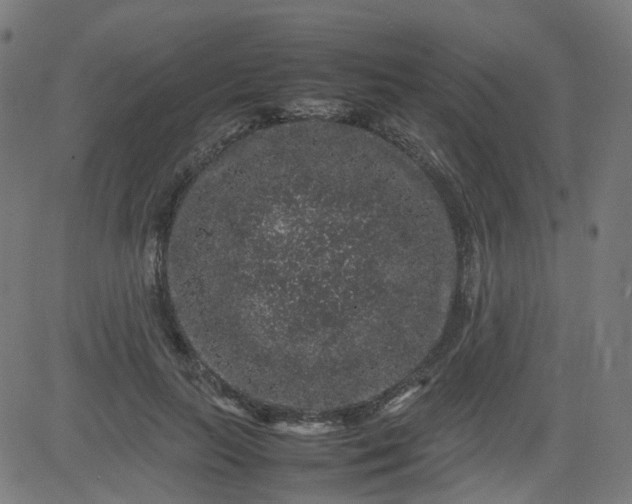 X0000082740647200702091904