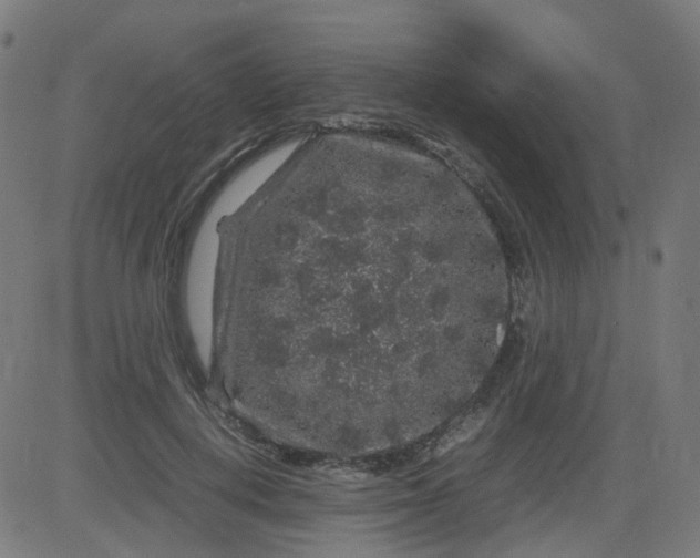 X0000082740648200702091904