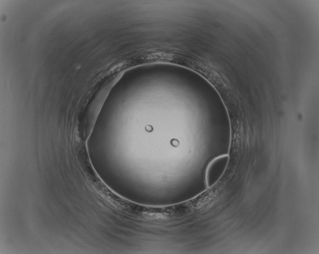 X0000082740649200702091904