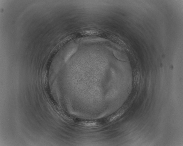 X0000082740651200702091904