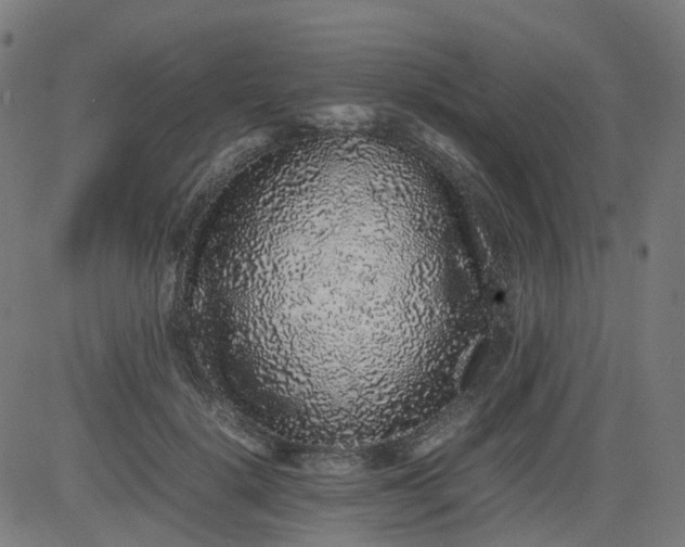 X0000082740652200702091904