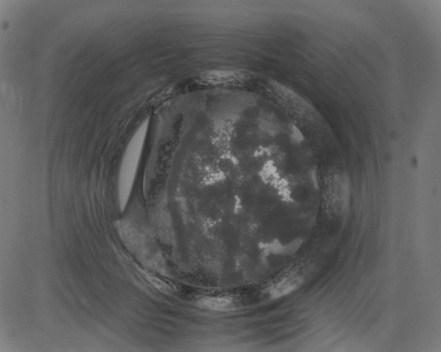 X0000082740653200702091904