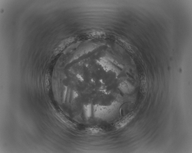 X0000082740654200702091904