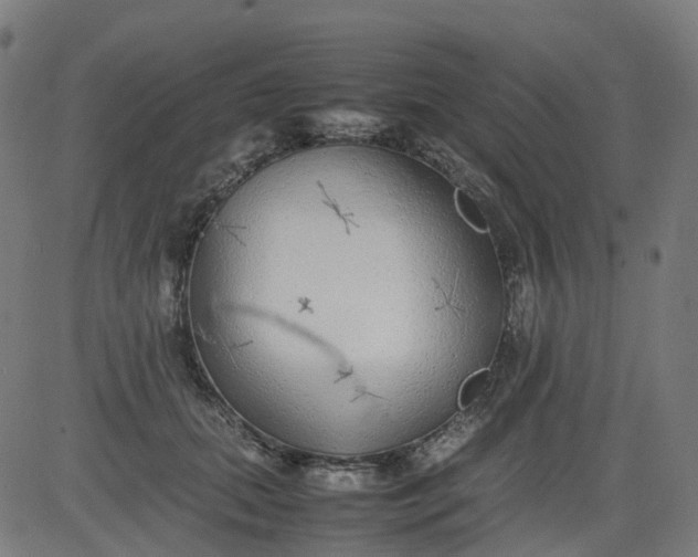 X0000082740655200702091904