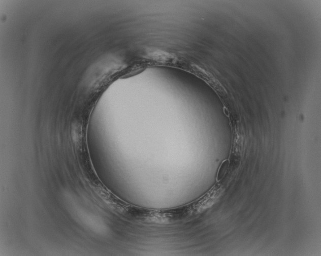 X0000082740656200702091904