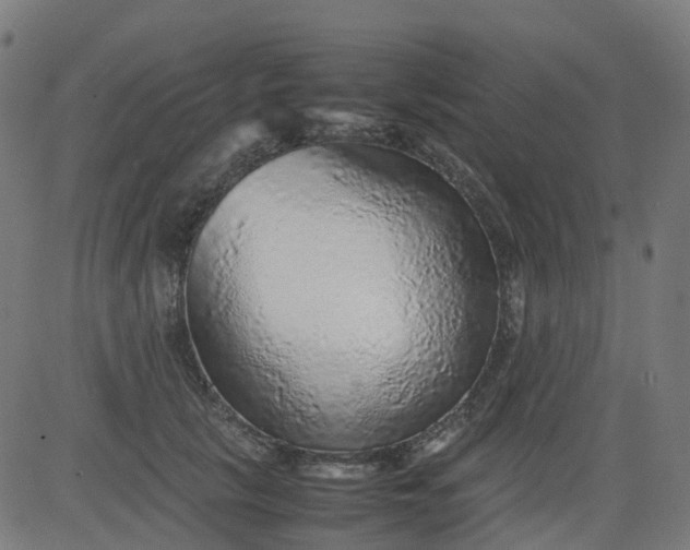 X0000082740657200702091904