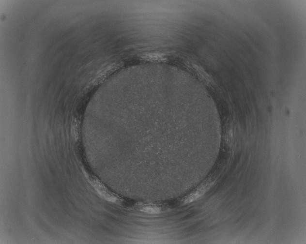 X0000082740658200702091904