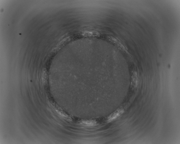 X0000082740659200702091904