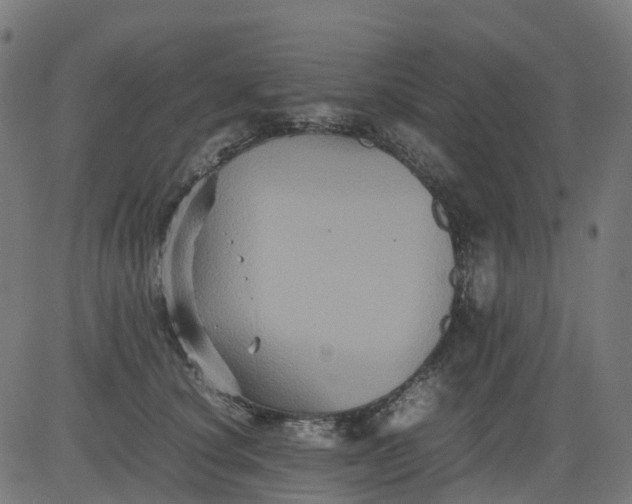 X0000082740660200702091904