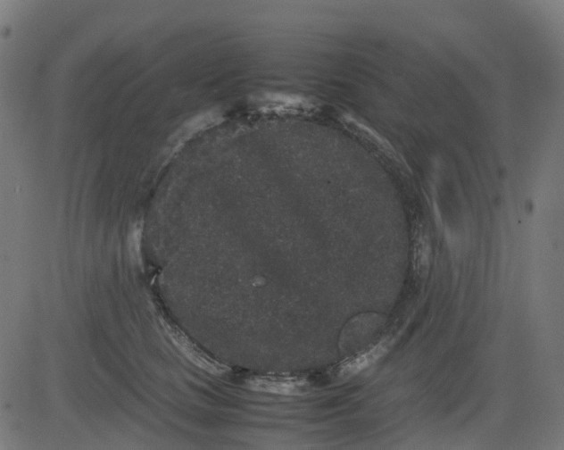 X0000082740661200702091904