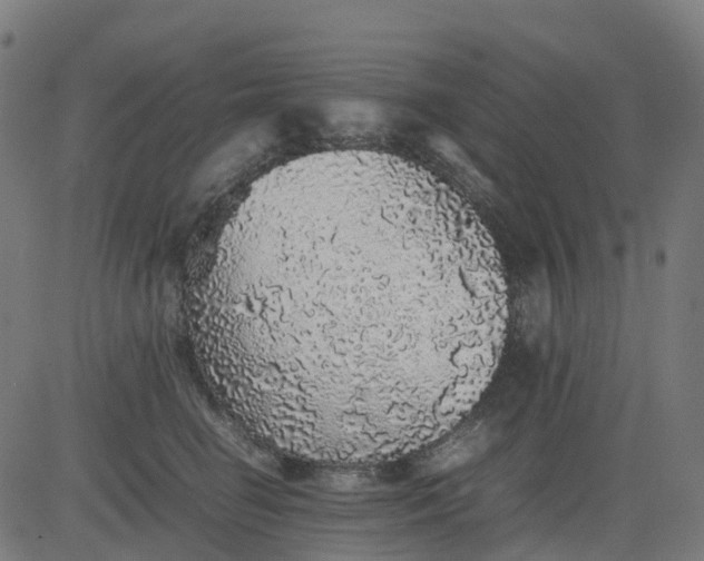 X0000082740662200702091904