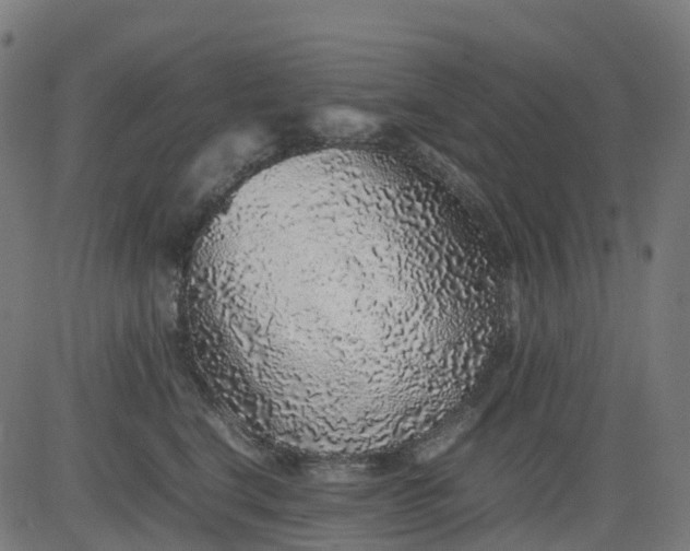 X0000082740664200702091905