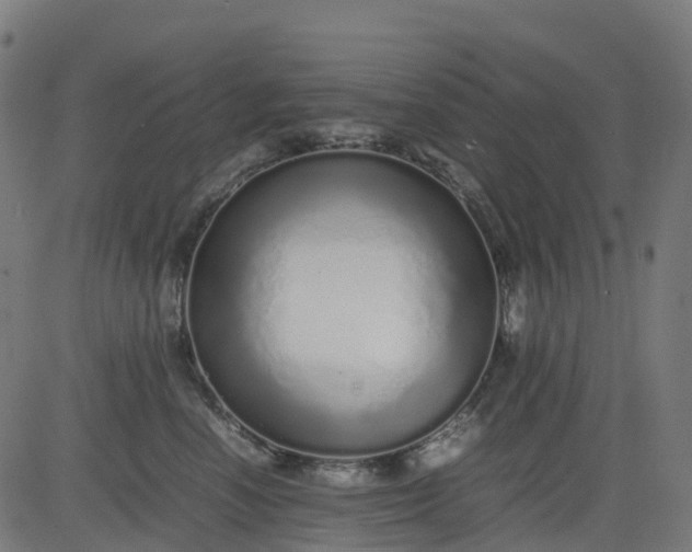 X0000082740666200702091905