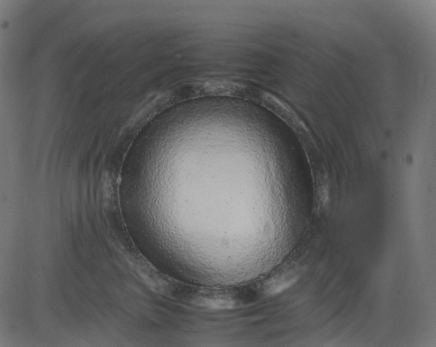 X0000082740667200702091905