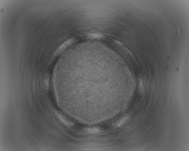 X0000082740668200702091905