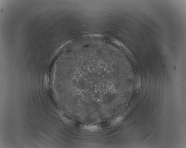 X0000082740669200702091905