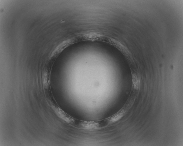 X0000082740670200702091905