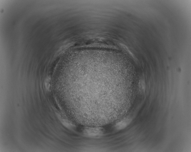 X0000082740671200702091905