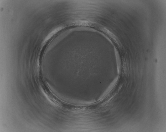 X0000082740674200702091904