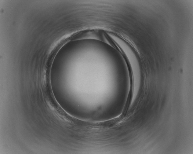 X0000082740676200702091904