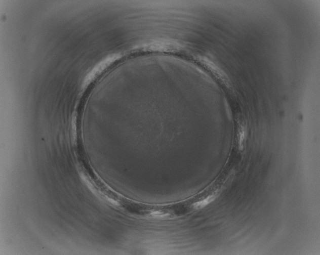 X0000082740678200702091904