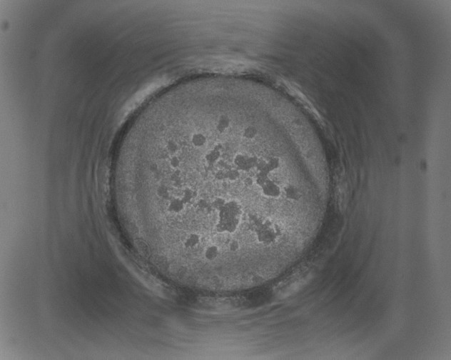 X0000082740679200702091904