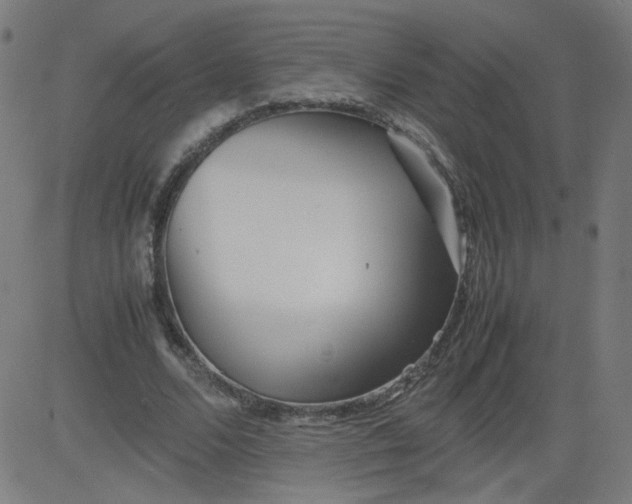 X0000082740680200702091904