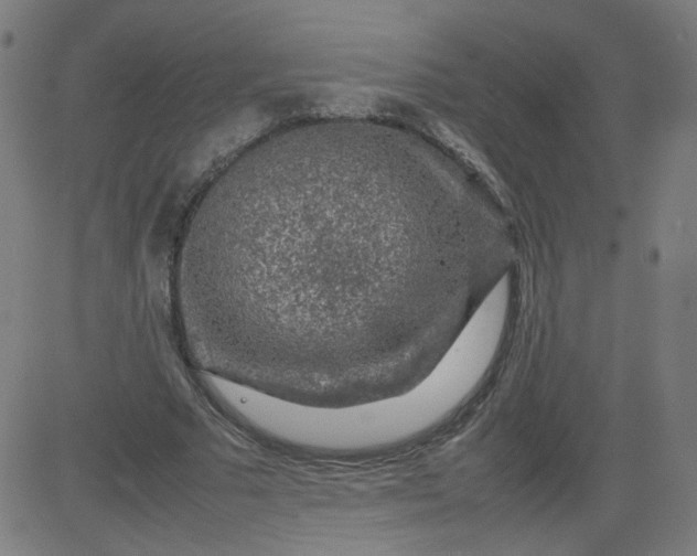 X0000082740681200702091904