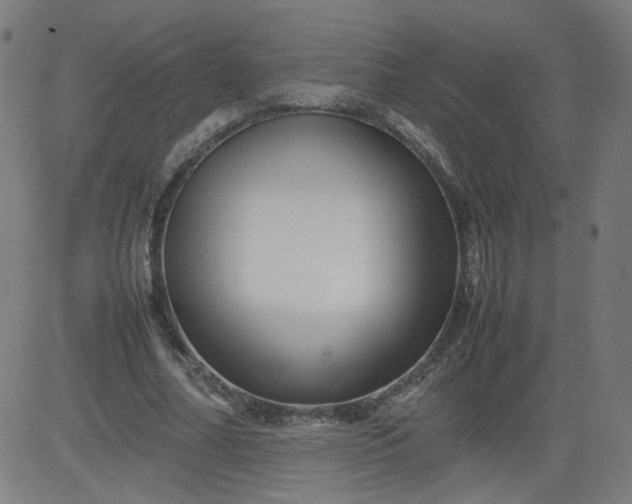 X0000082740682200702091904