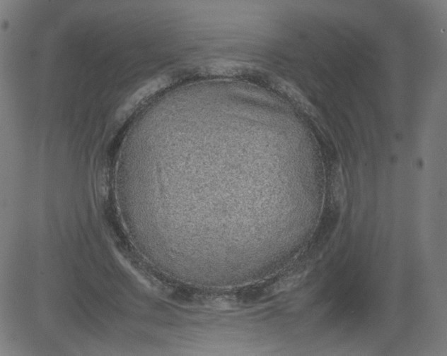 X0000082740683200702091904