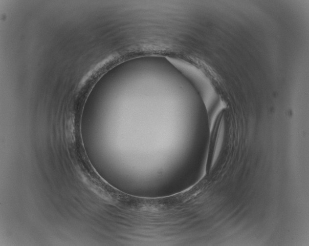 X0000082740684200702091904