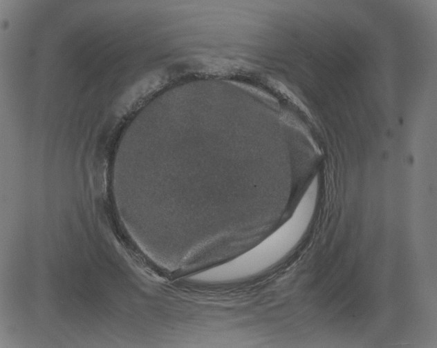 X0000082740685200702091904