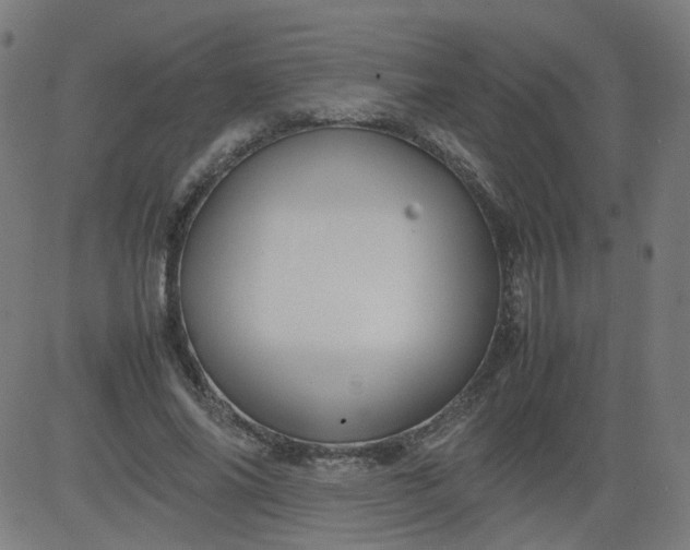 X0000082740686200702091904