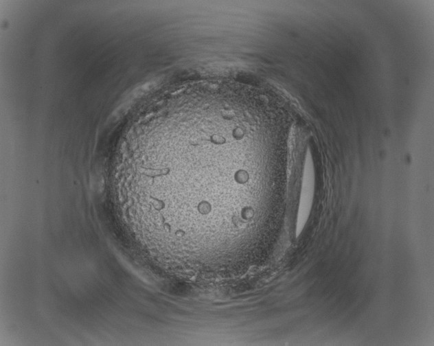 X0000082740687200702091904