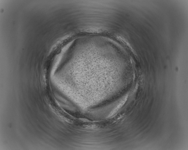 X0000082740688200702091904