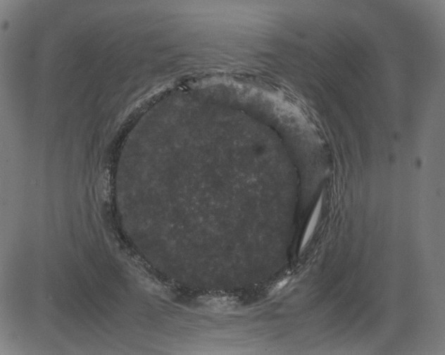 X0000082740689200702091904