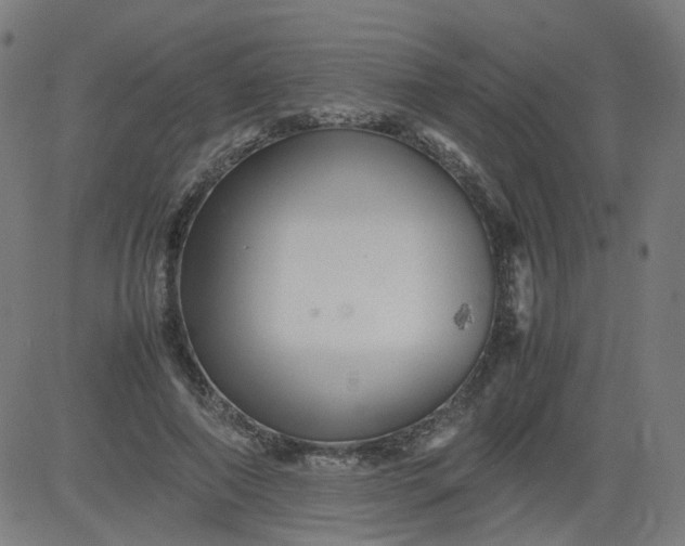 X0000082740690200702091904